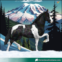 Horse Color:Midnight Black Ice Tobiano