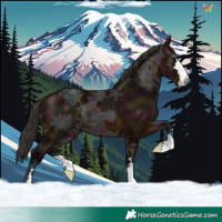 Horse Color:Midnight Bay Ice