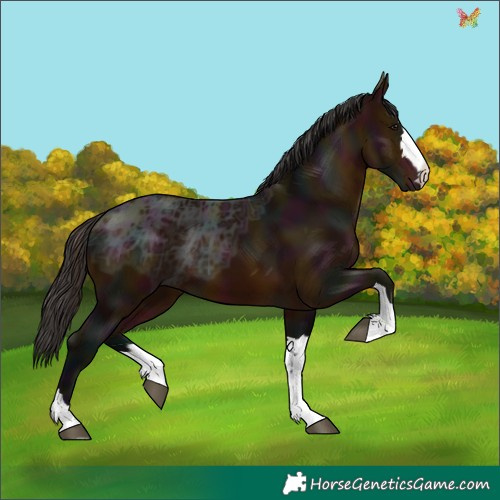 Horse Color:Midnight Bay Ice 