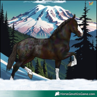 Horse Color:Midnight Bay Ice