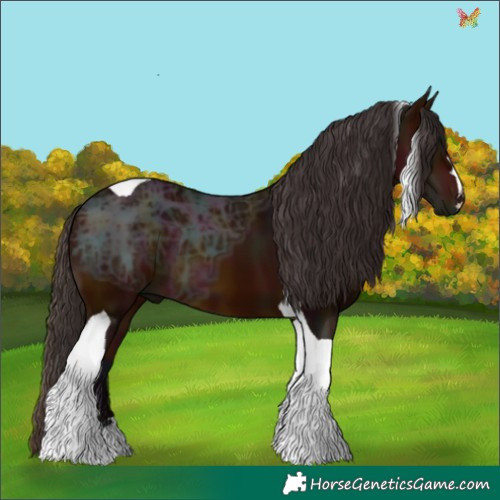 Horse Color:Midnight Bay Ice Tobiano 