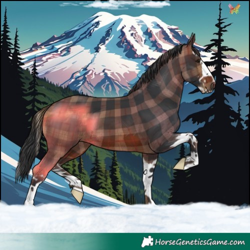 Horse Color:Plaid  Brown Splash 