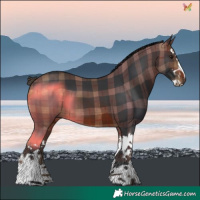 Horse Color:Plaid  Brown Splash 