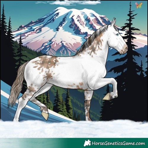 Horse Color:Plaid  White Spotted Bay Splash 