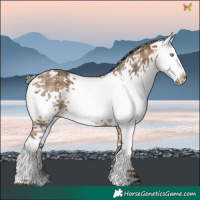 Horse Color:Plaid  White Spotted Bay Splash 
