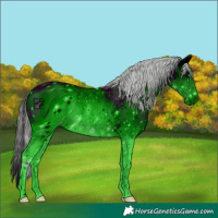 Horse Color:ERROR: UNKNOWN ANOMALY