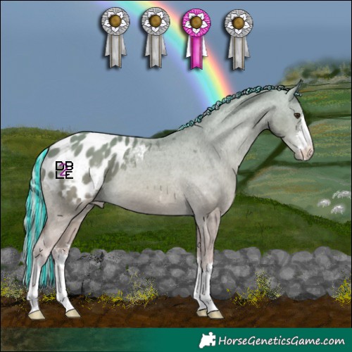 Horse Color:Platinum Painted White Spotted Chestnut Appaloosa 