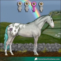 Horse Color:Platinum Painted White Spotted Chestnut Appaloosa