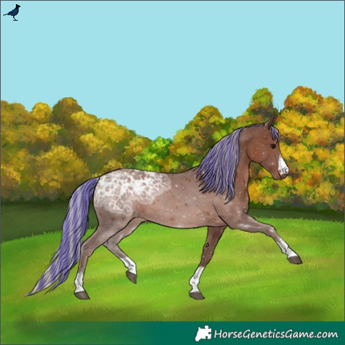 Horse Color:Painted Silver Black Ice 