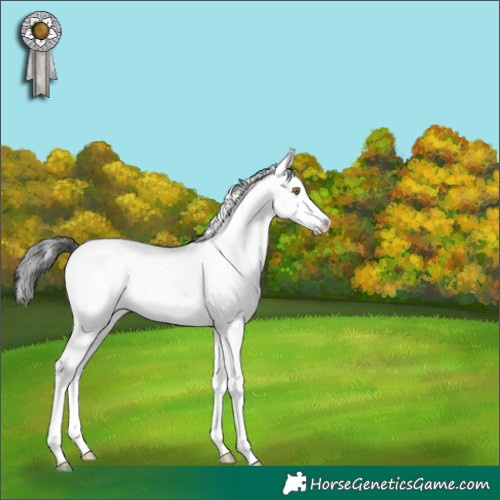 Horse Color:Brown Sabino 