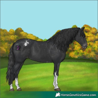 Horse Color:Black Mushroom Sabino Tobiano Varnish