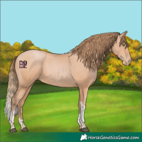 Horse Color:Bay Pearl Mushroom Sabino Tobiano 