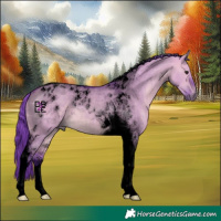 Horse Color:Void Watercolor Bay Dun Tobiano