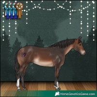 Horse Color:Brown Tobiano Rabicano 