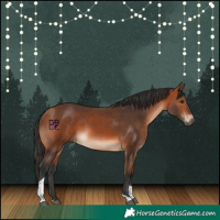 Horse Color:Brown Tobiano Rabicano