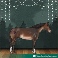 Horse Color:Brown Tobiano Rabicano 