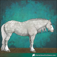Horse Color:Watercolor Silver Grullo Ice Varnish