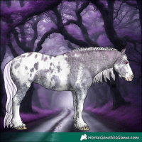 Horse Color:Silver Amber Champagne Chinchilla Ice Sabino Blanket Rabicano 