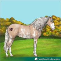 Horse Color:Silver Black Pearl Sabino 