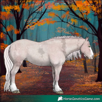 Horse Color:Watercolor Silver Amber Champagne Ice Appaloosa Rabicano 