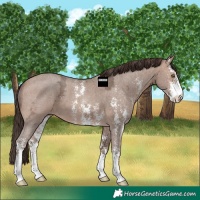 Horse Color:Sable Champagne Ice Sabino Varnish 