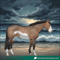 Horse Color:Brown Dun Frame Rabicano 