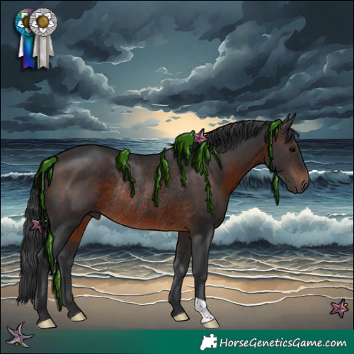 Horse Color:Brown Rabicano 