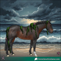 Horse Color:Brown Rabicano 