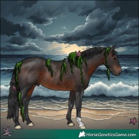 Horse Color:Brown Rabicano 