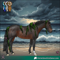 Horse Color:Brown Rabicano