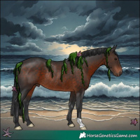 Horse Color:Brown Rabicano 