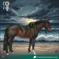 Horse Color:Brown Rabicano 