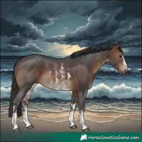 Horse Color:Brown Sabino Rabicano