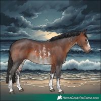 Horse Color:Brown Sabino Rabicano 