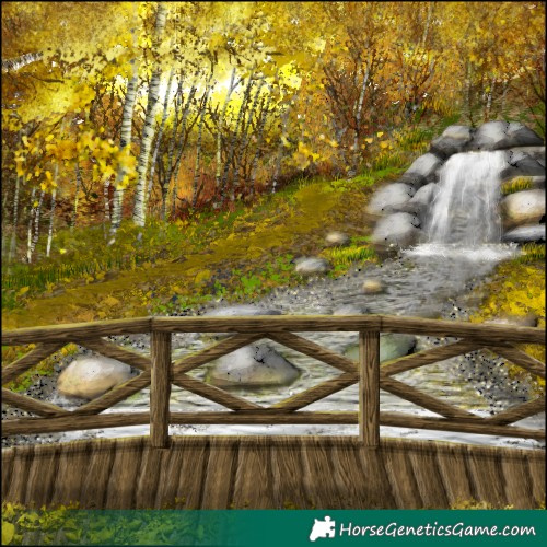 Horse Color:Bay Dun Sabino Rabicano