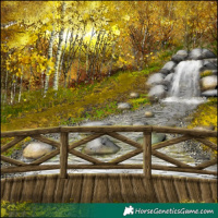 Horse Color:Bay Dun Sabino Rabicano