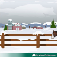 Horse Color:Bay Frame Rabicano 