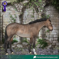 Horse Color:Brown Dun Rabicano 