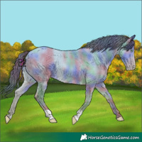 Horse Color:Nacre Amber Cream Champagne Dun 