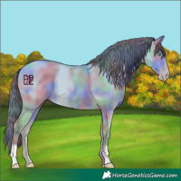 Horse Color:Nacre Amber Cream Champagne Dun 
