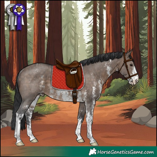 Horse Color:Brown Dun Sabino Rabicano 
