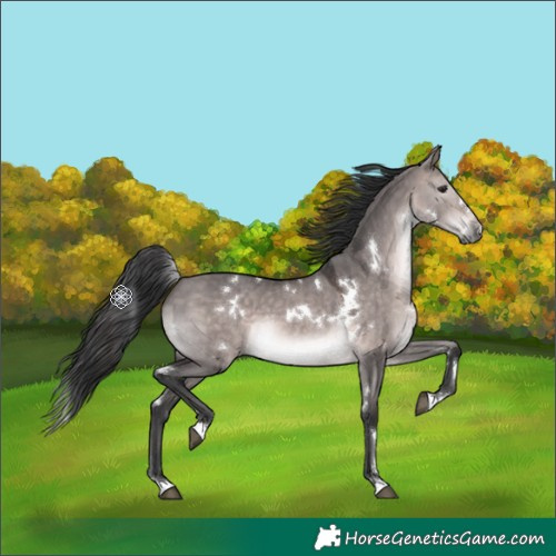 Horse Color:Platinum White Spotted Brown Dun 