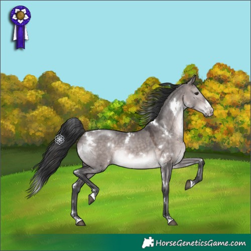 Horse Color:Platinum White Spotted Brown Dun 