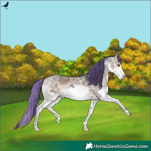 Horse Color:Painted Brown Ice Dun Splash 