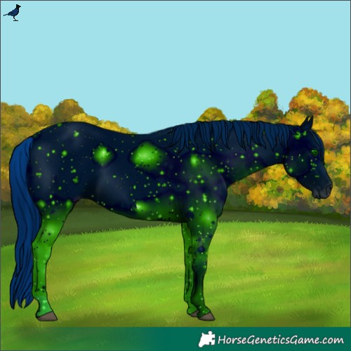 Horse Color:ERROR: UNKNOWN ANOMALY