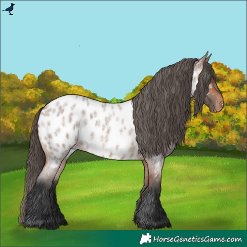 Horse Color:Bay Roan Near Leopard Rabicano
