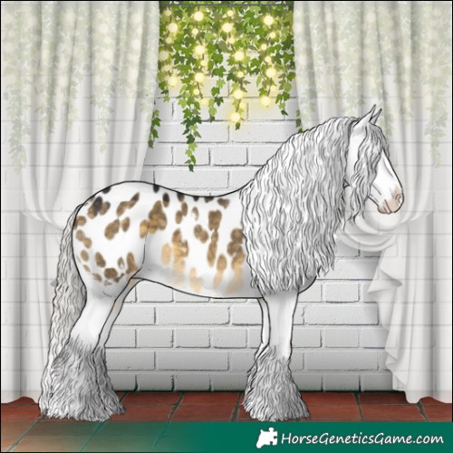 Horse Color:White Spotted Silver Buckskin Dun Tobiano Blanket 
