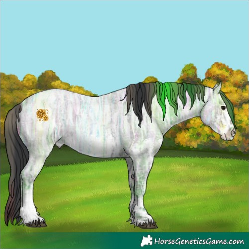 Horse Color:Plaid  White Spotted Blue Ice Roan 