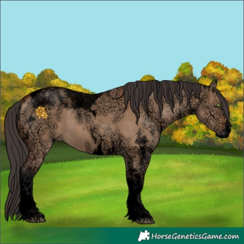 Horse Color:Void White Spotted Bay Ice Dun Tobiano 