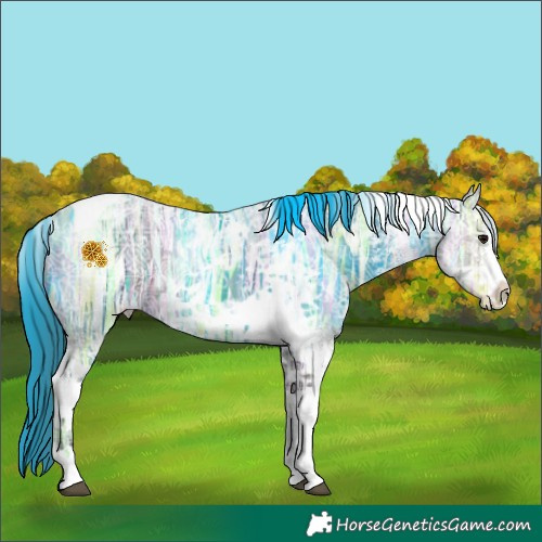 Horse Color:White Spotted Grullo Ice Tobiano Appaloosa 